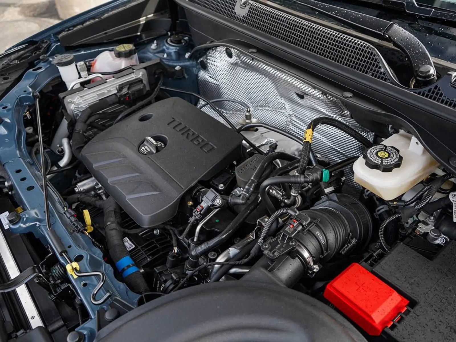 image-5