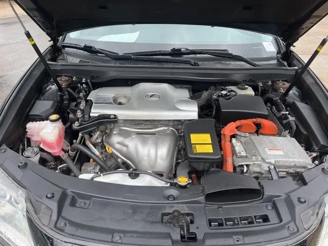 image-15