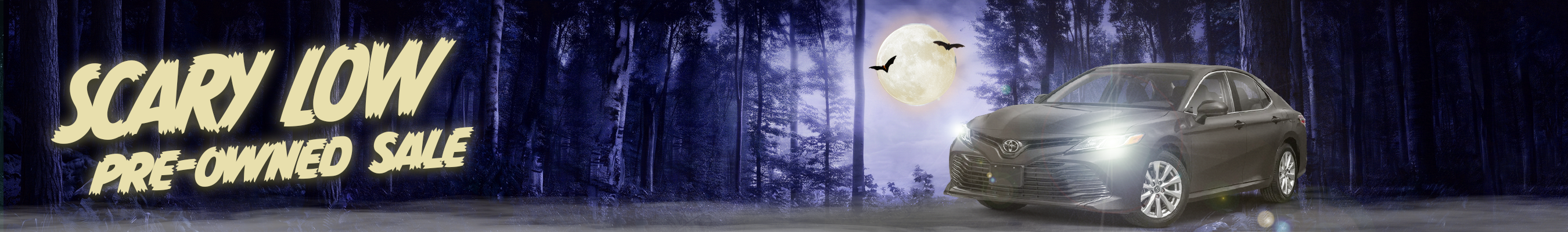 banner-image