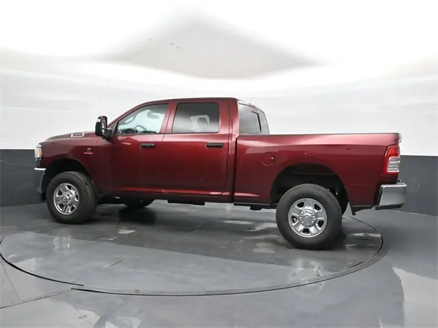 image-6