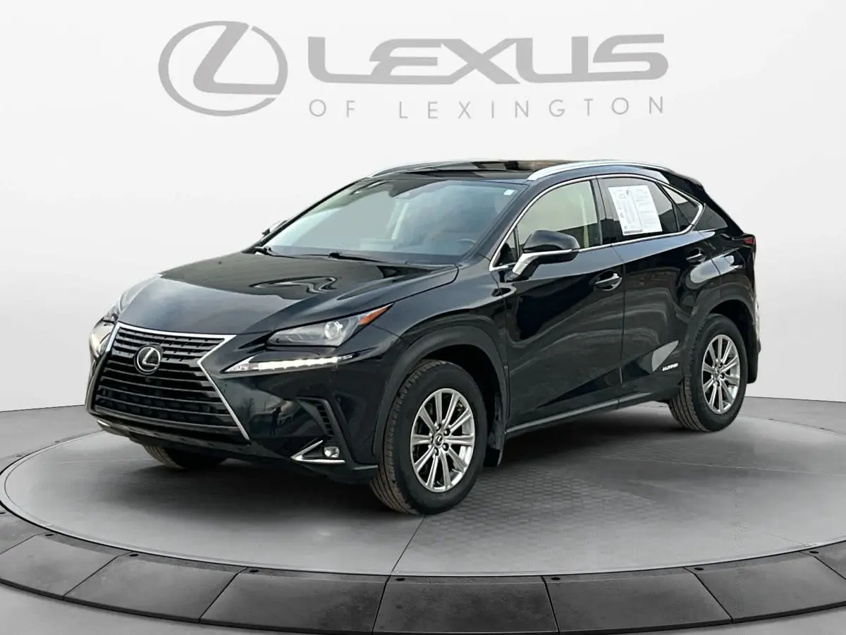 2021 Lexus NX Hybrid 300h's photo