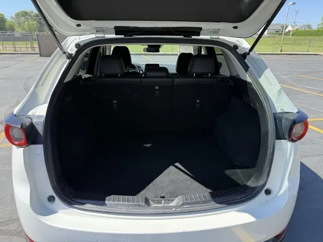 image-8