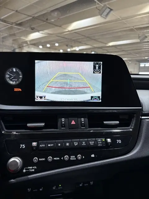 image-19