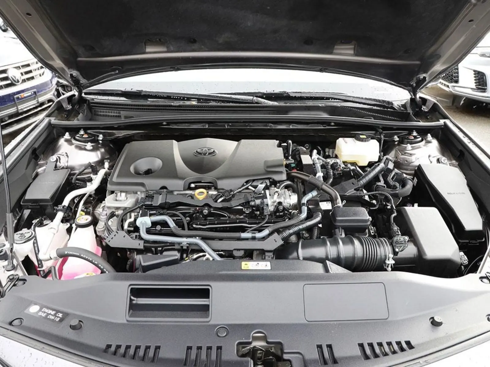 image-7