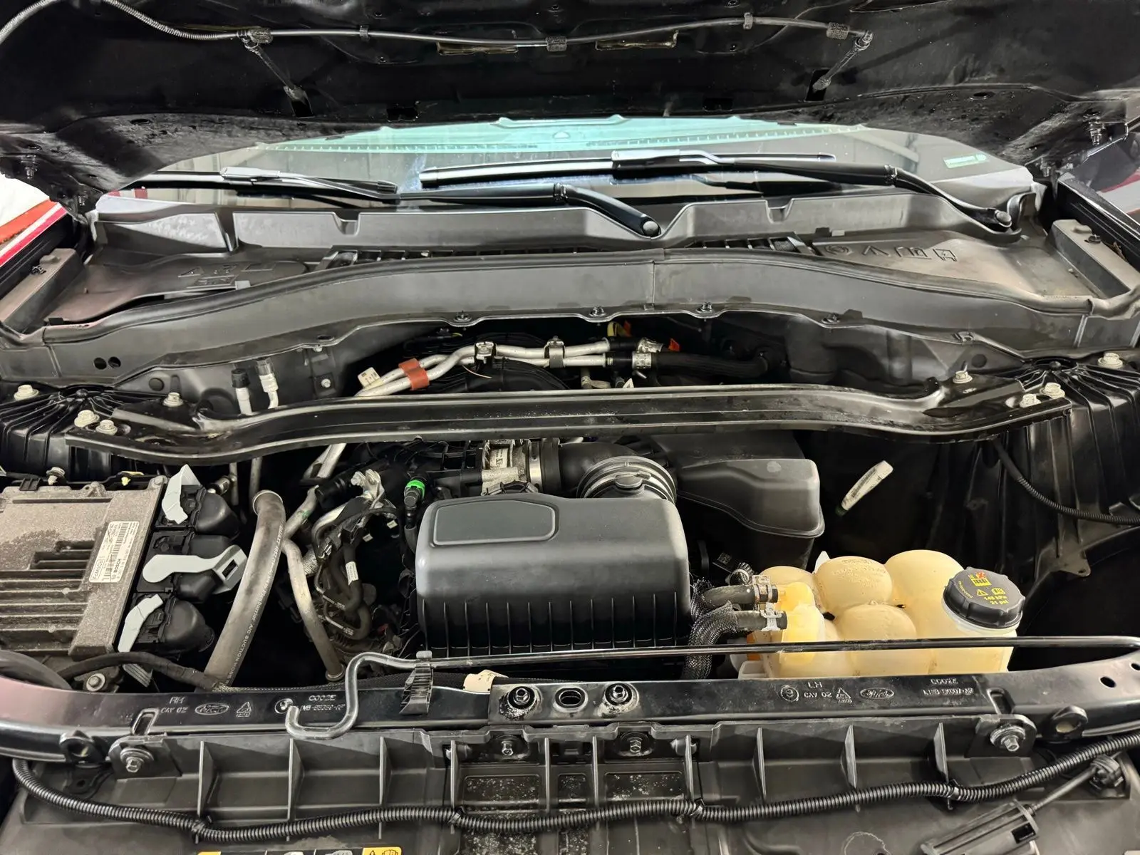 image-19