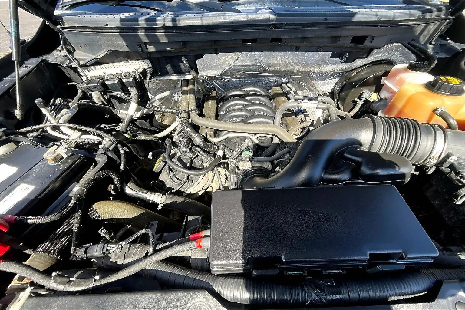 image-7
