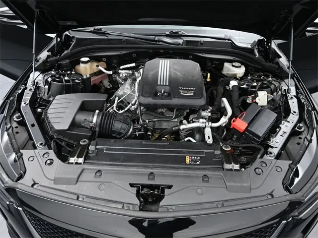 image-14