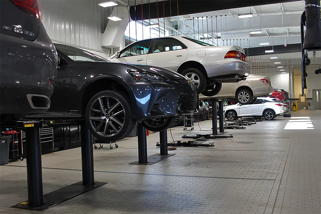 Lexus vehicles in the shop on lifts