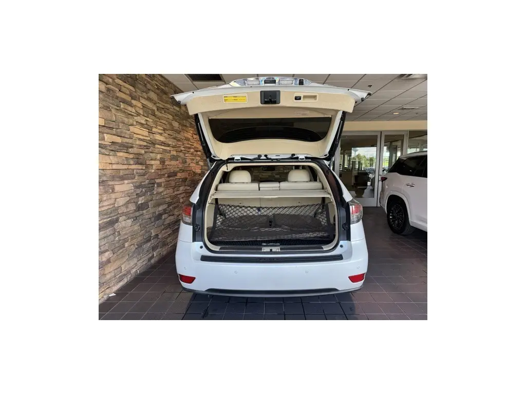 image-11