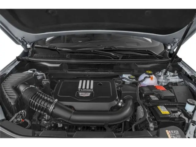 image-14