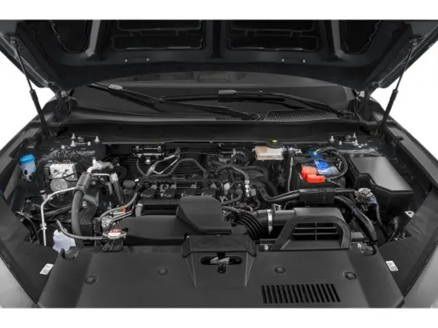 image-14