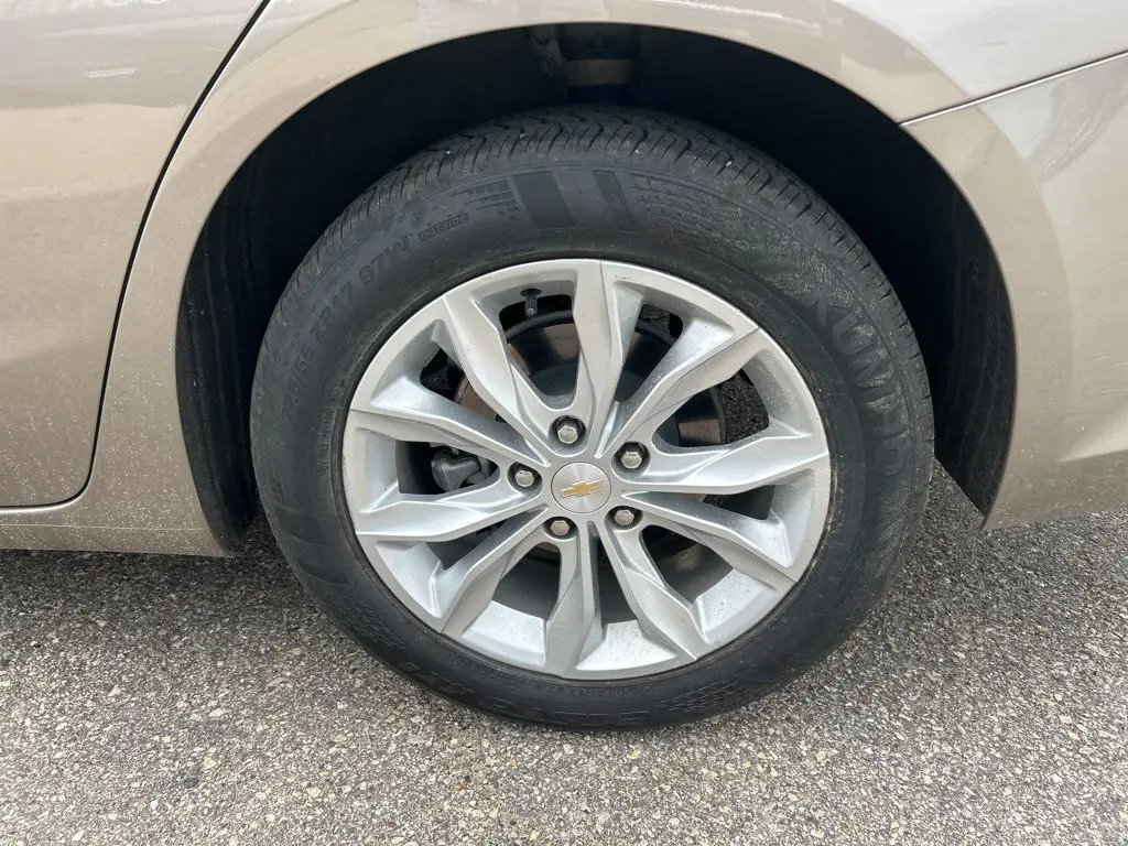 image-11