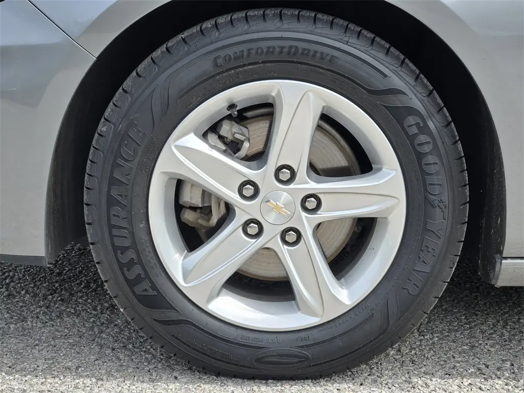 image-11