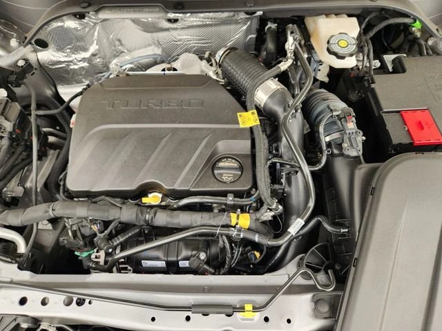 image-19