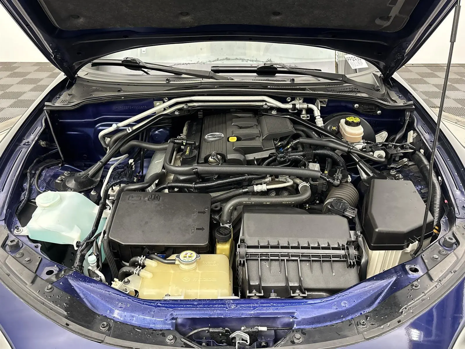 image-19