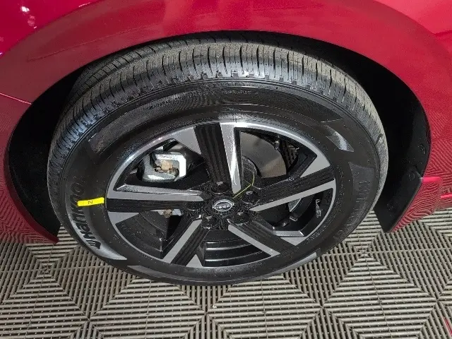 image-6
