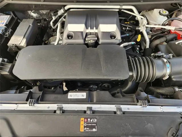 image-19