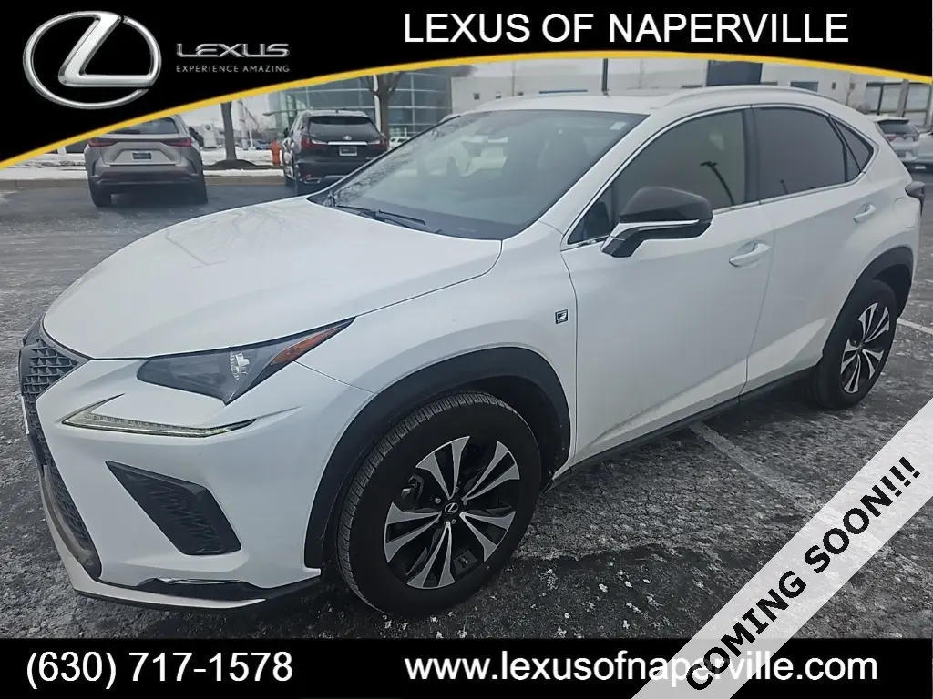 2020 Lexus NX 300 F SPORT's photo