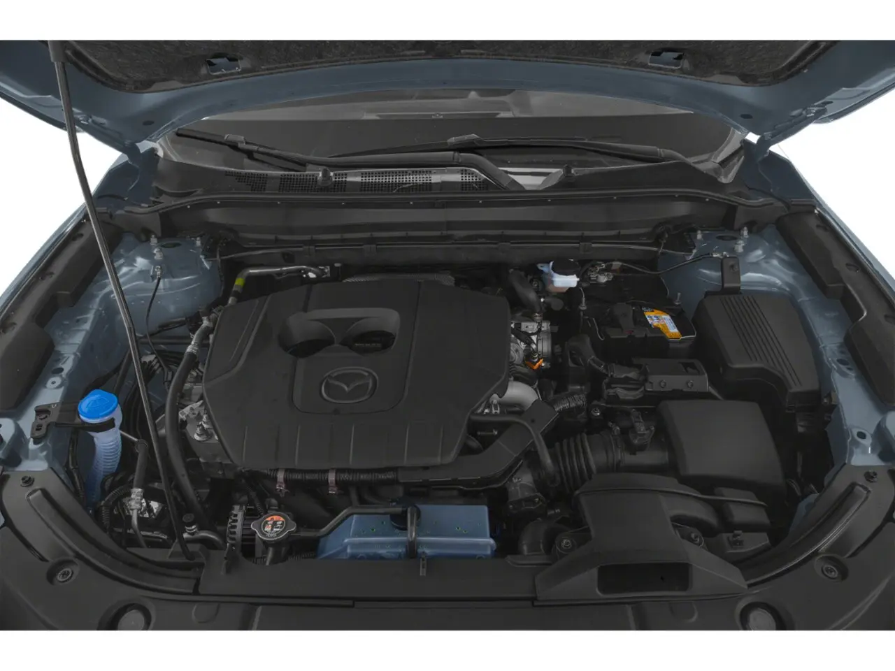 image-8