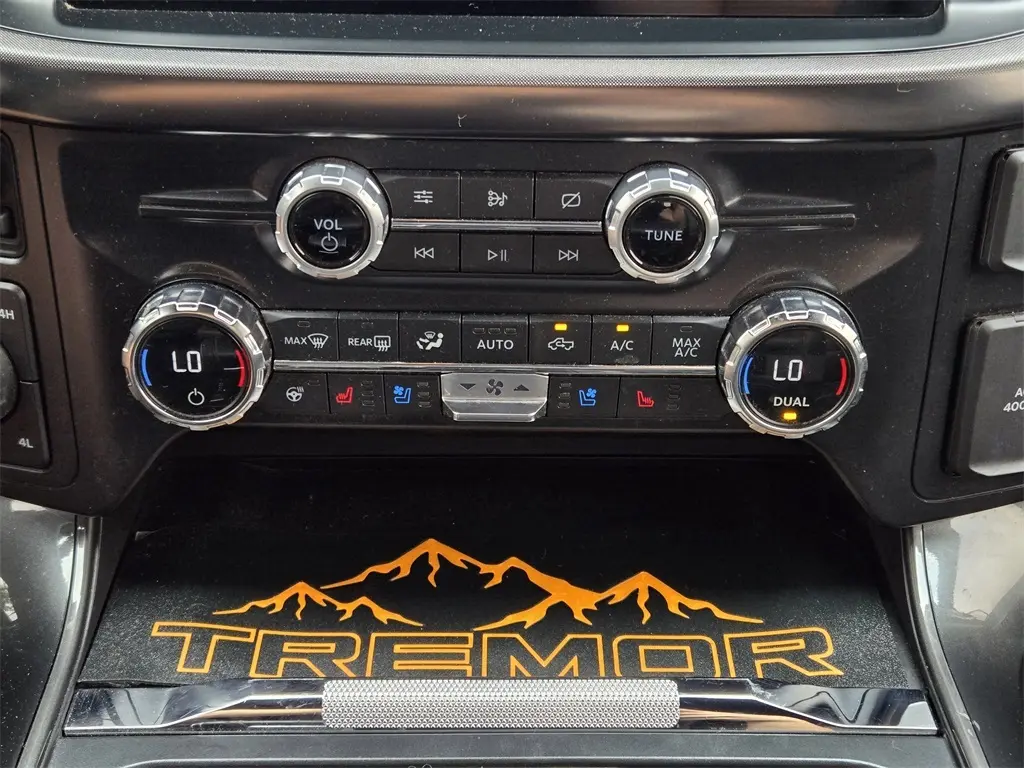 2021 Ford F-150 photo 20