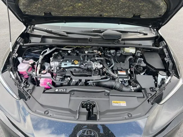 image-14