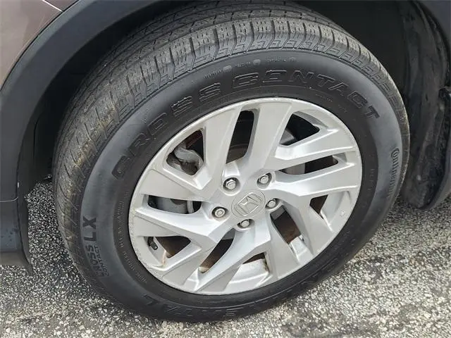 image-9