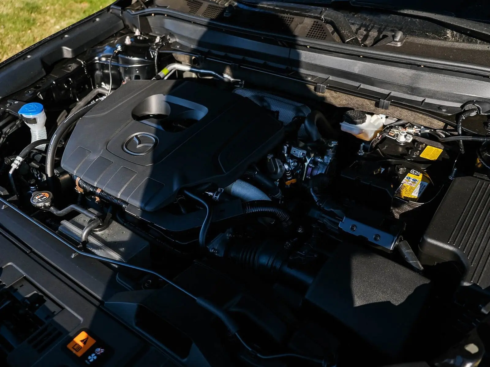 image-5