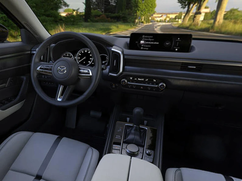 image-7