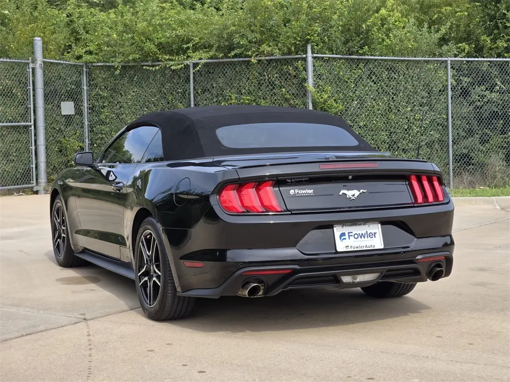 2019 Ford Mustang EcoBoost Premium photo 5