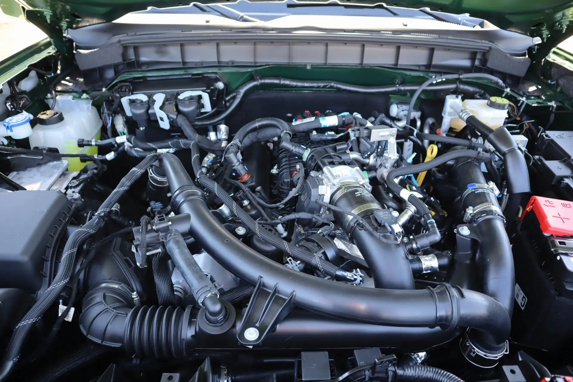 image-19
