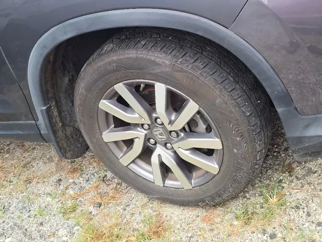 image-5