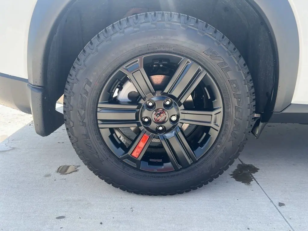 image-11