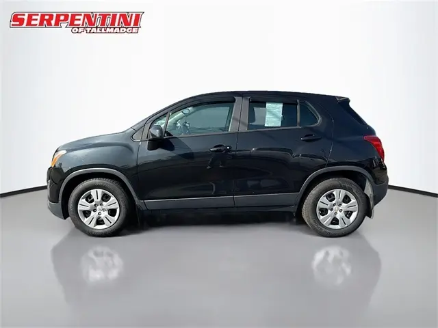 image-7