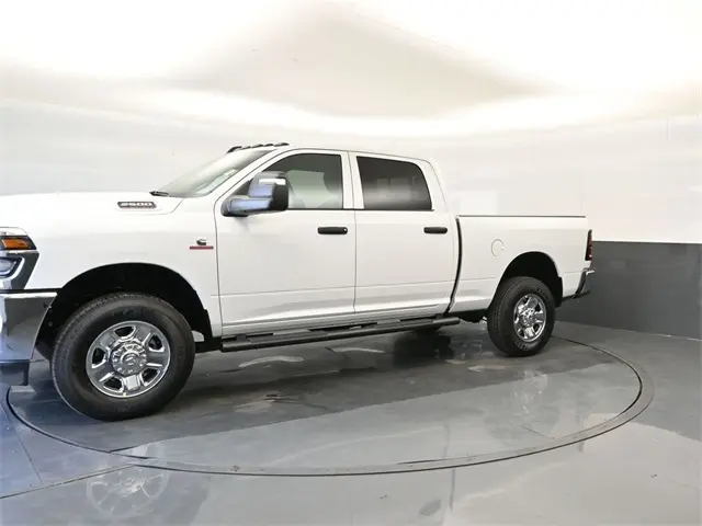 image-7