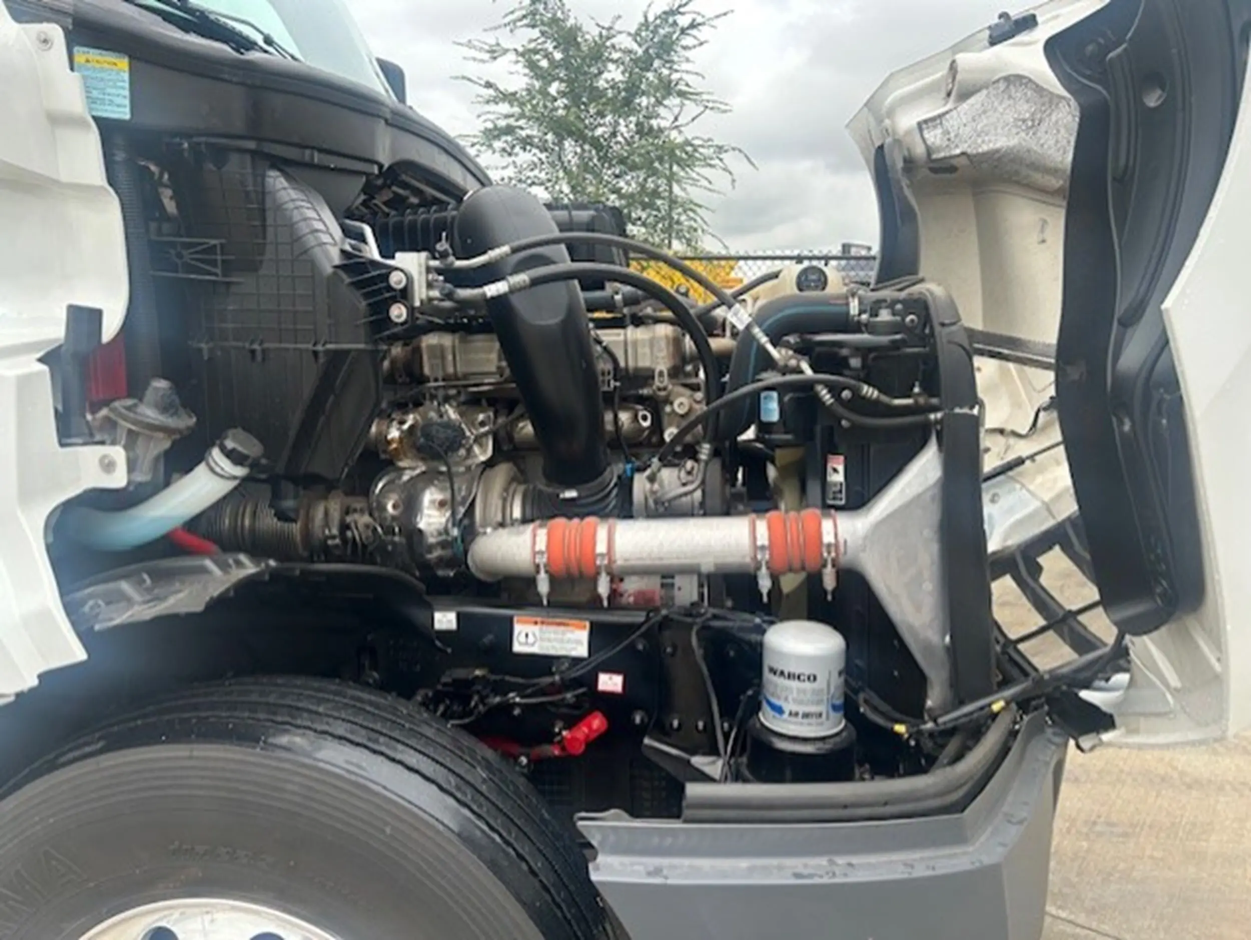 image-11