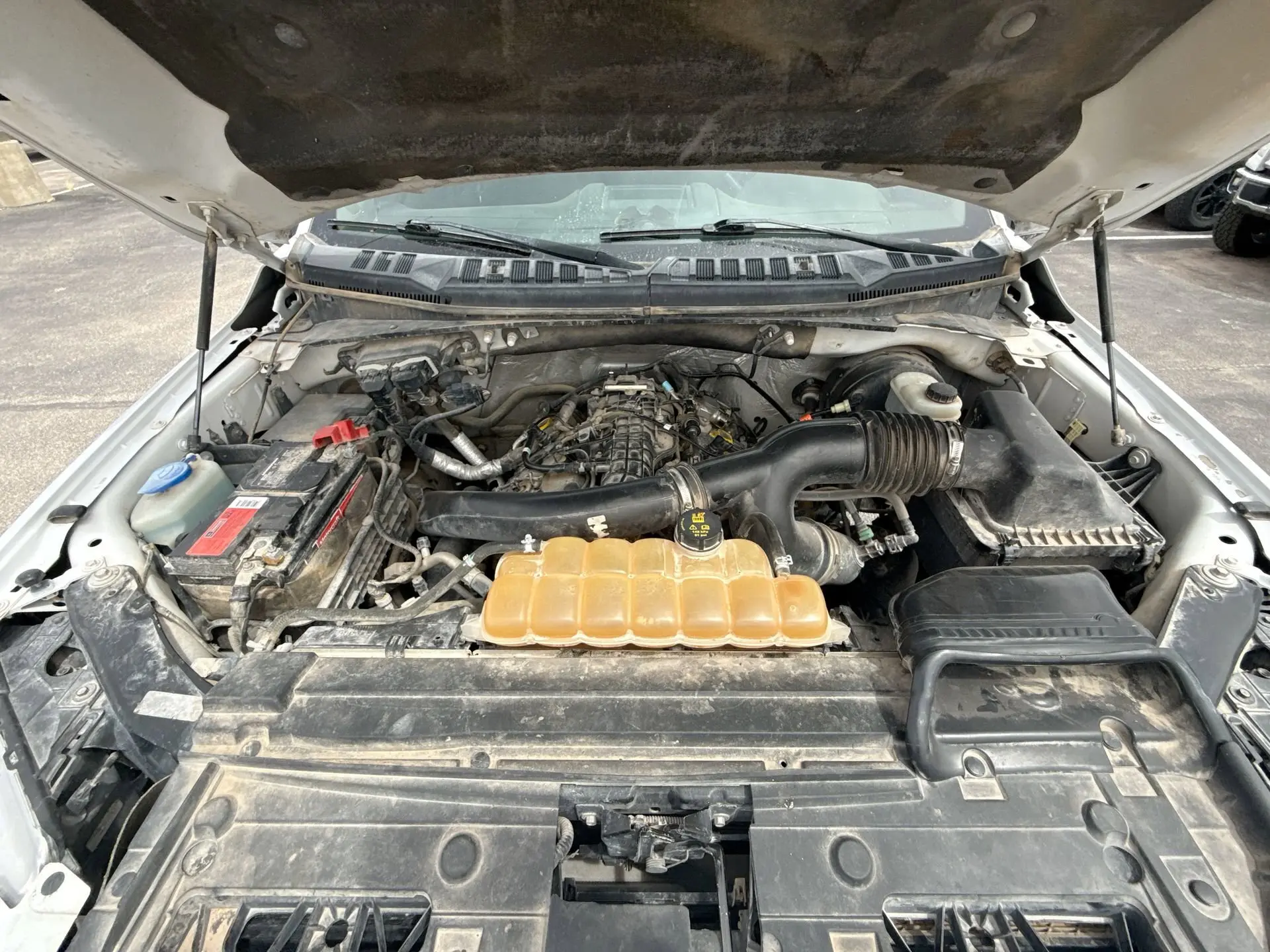 image-20