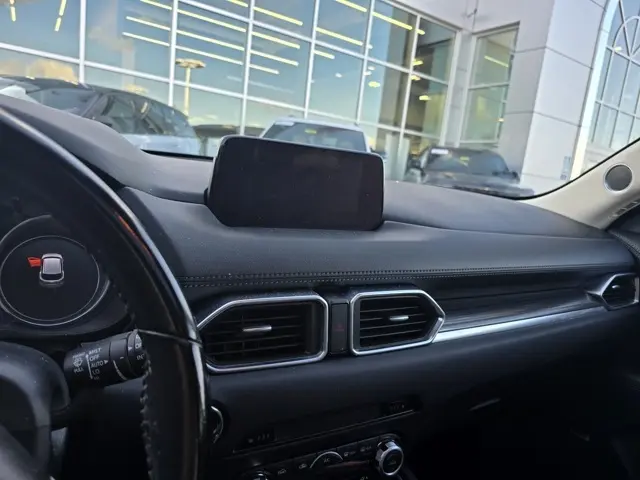 image-7