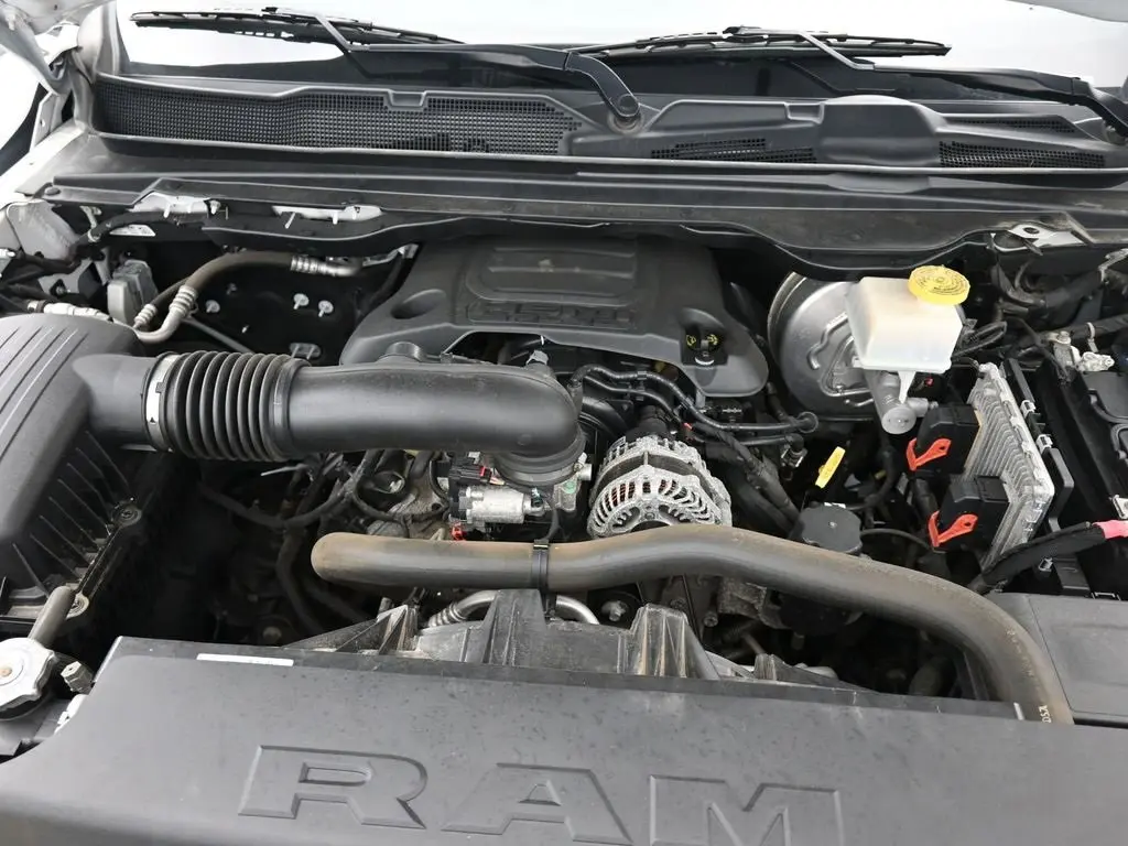 image-19
