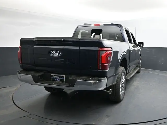 image-7