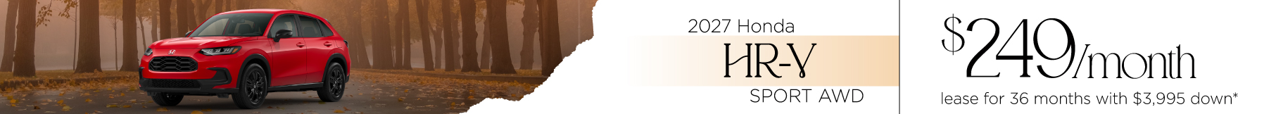 banner-image