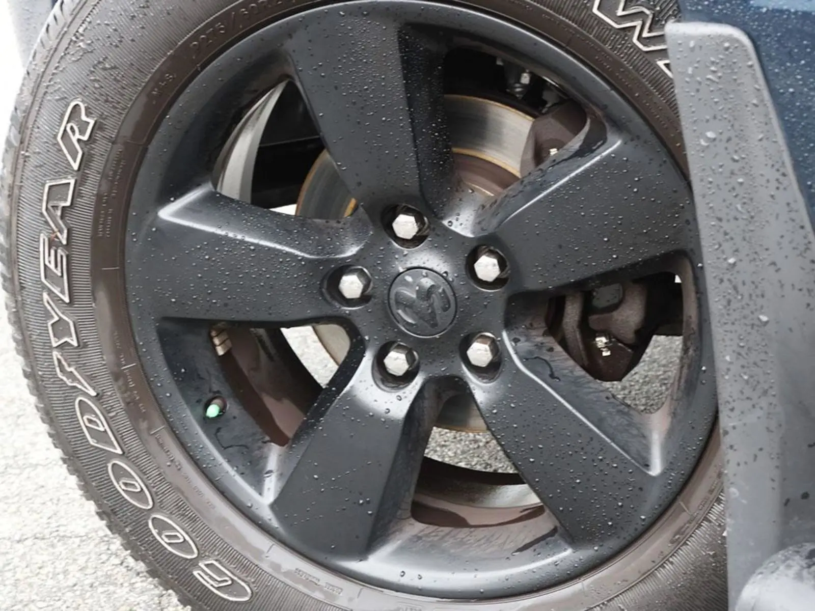 image-5