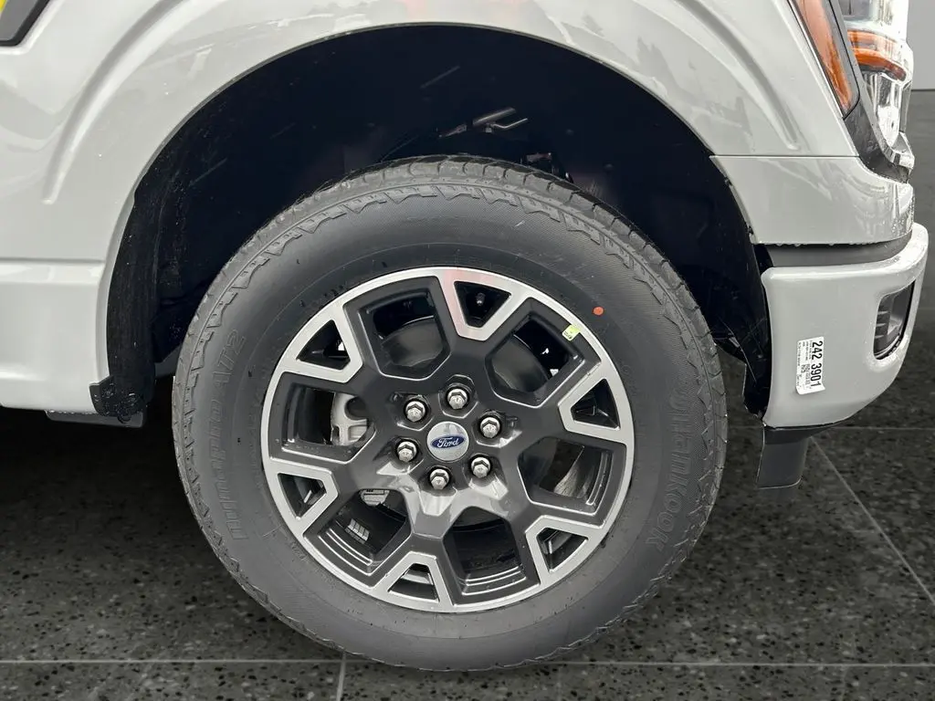 image-9