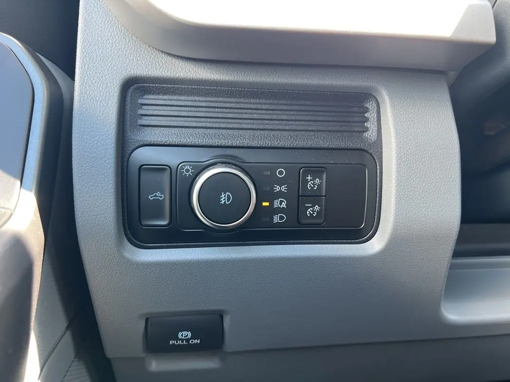 image-19