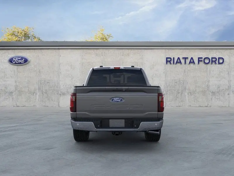 image-4