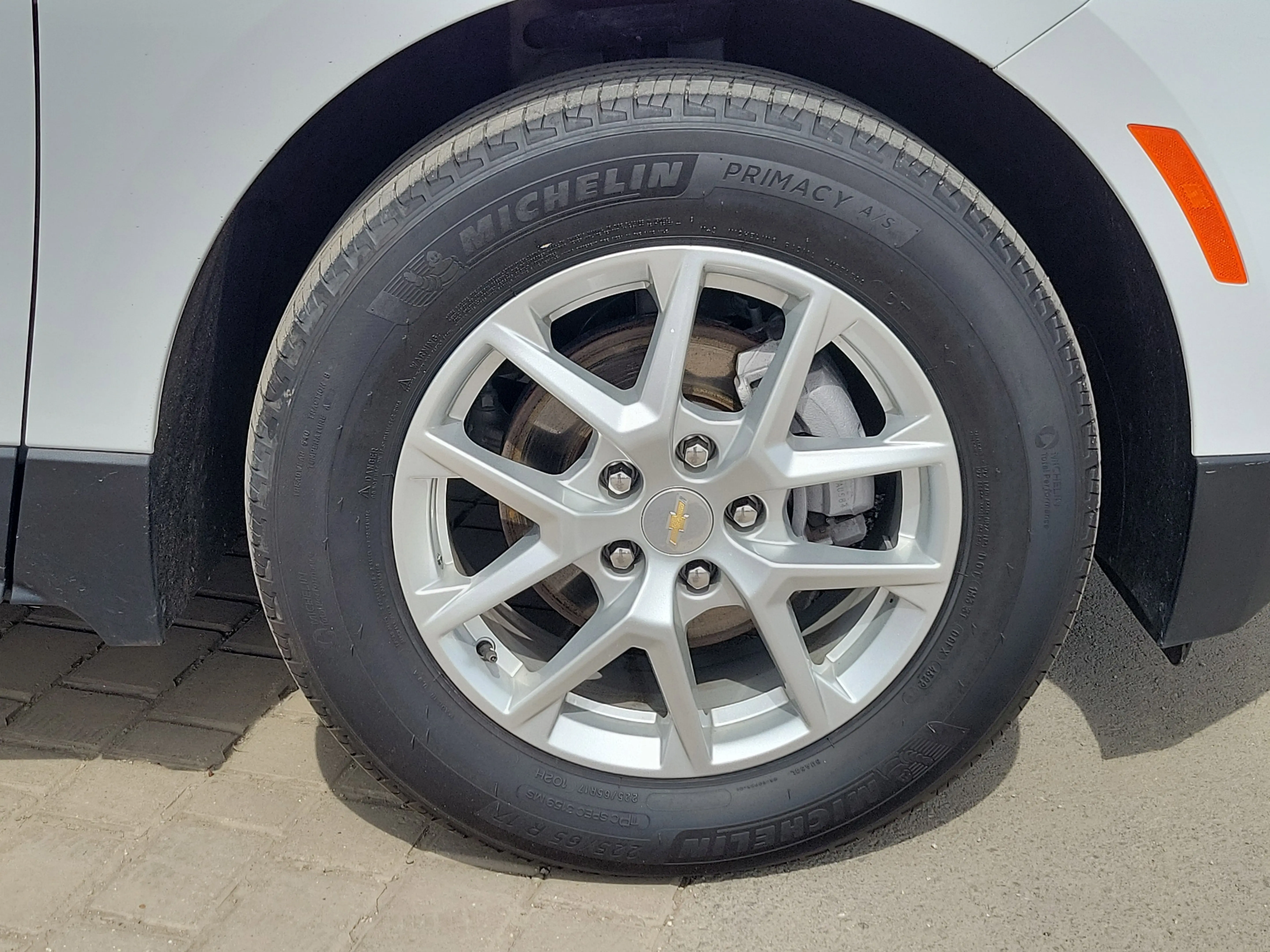 image-7