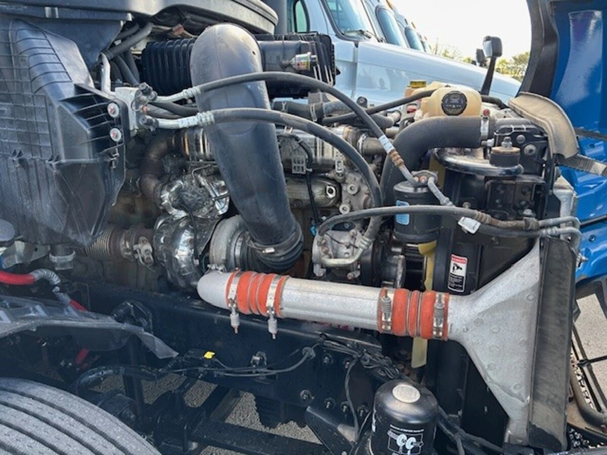 image-11