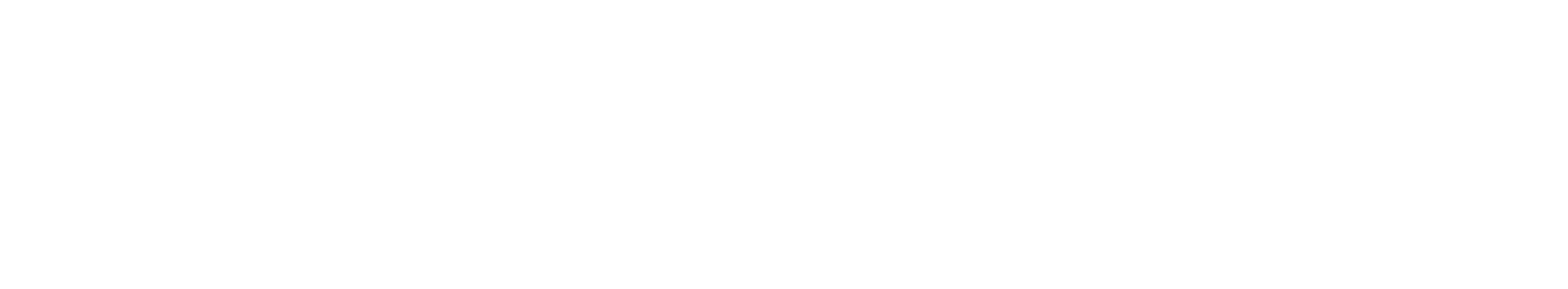 Dealer Logo Primary
