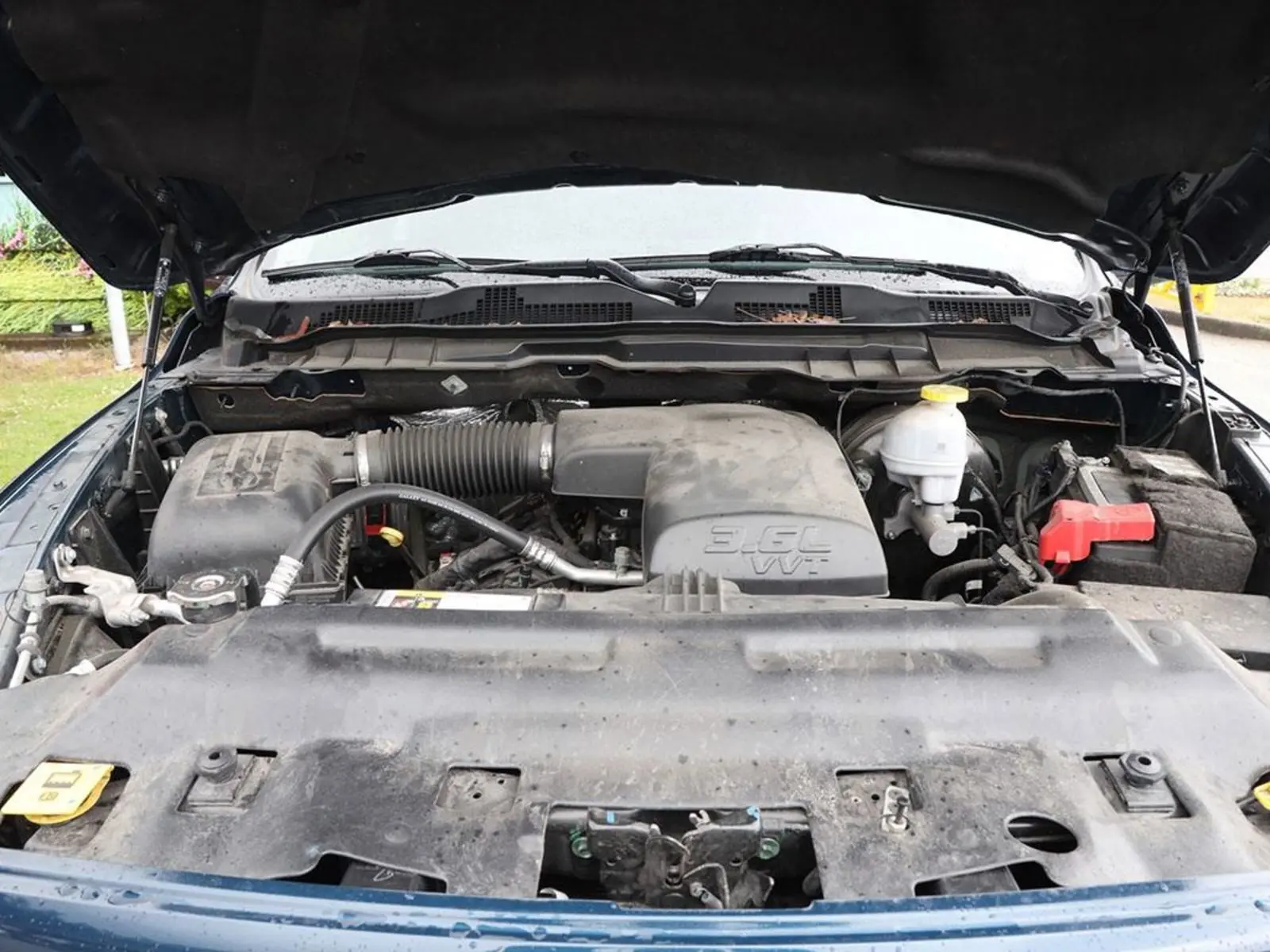 image-7