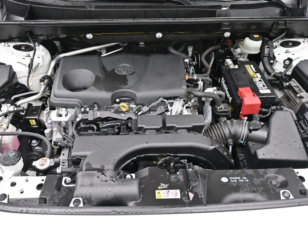image-19