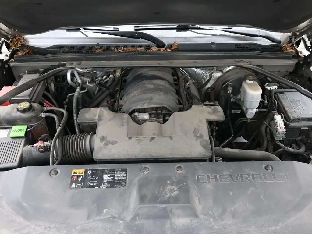 image-19
